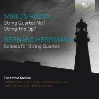 Brilliant Classics Ensemble Merian & Stefano Succi - Rózsa & Herrmann: Music For String Quartet (CD)