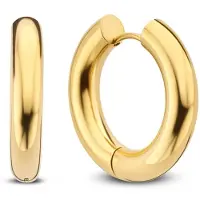 CO88 Collection Elegante Gouden Damesoorbellen uit de CO88 Collectie 8CE-70434