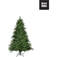 Black Box Trees - Brampton kerstboom led groen 140L TIPS 948 - h155xd107cm - Kerstbomen