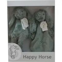 Happy horse Geschenkverpakking Konijn Richie Groene Knuffel no. 1 - 28 cm / Knuffeldoekje