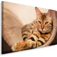 Karo-art Schilderij - Bengaalse Kat, Premium Print, 5 maten