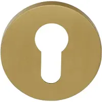 Formani ECLIPSE DRY53 cilinderplaatje PVD mat goud
