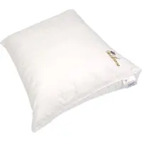 Polydaun Waldkrone Königshof hoofdkussen - katoenen tijk - GRS gerecyclede Comfort-O-Bol vulling - 900 gram - navulbaar - 60x50x10/0 cm
