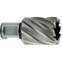 Metabo HSS kernboor Ø 20x55 mm - 626529000