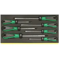 Stahlwille TCS 4820/4830 Schroevendraaierset