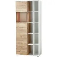 Germania Hangmappenladekast Melamine 2 Planken Afsluitbaar 850 x 400 x 1.970 mm Eiken Lichtbruin