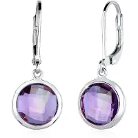 Elli Oorbellen lila / zilver