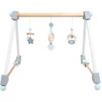 Roba Babygym Miffy van hout