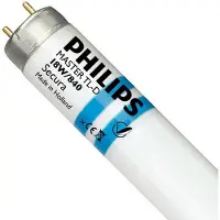 Philips G13 T8 tl-lamp met splinterbescherming