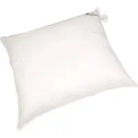 Polydaun Linderhof hoofdkussen 700 gr. (be) 60 x 60 cm