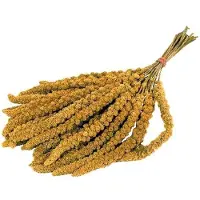JUNAI TROSGIERST CHINEES 15KG