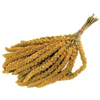 De Vries - TROSGIERST 3KG