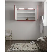 Mondiaz Cubb spiegelkast 120x70x16cm fire met 2 deuren