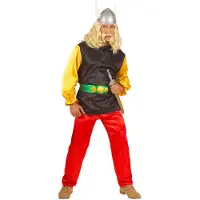 Widmann Carnavalskleding: Asterix de Gallier kostuum