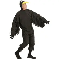 Finidi Kraai pak voor carnaval