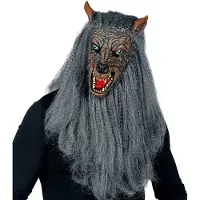 Widmann Halloween weerwolf masker met haar