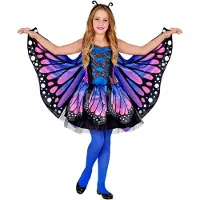 Widmann Vlinder pak kinderen blauw paars