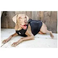 All For Paws Comfy Wrap