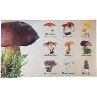 Esschert Design Deurmat paddestoelen verzameling