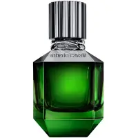 Roberto Cavalli Herengeuren Paradiso Found For Men Eau de Toilette Spray 50 ml