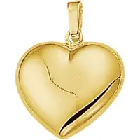 Trendjuwelier huiscollectie 4005730 Gouden bedel hartje