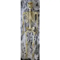 Amscan decoratieskelet levensgroot 165 cm beige