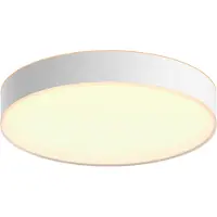 Philips Hue Enrave L plafondlamp White Ambiance Wit