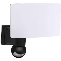 B.K.Licht Ledwandlamp voor buiten Buitenlamp, bewegingssensor, draaibaar, 20W 2.300 Lumen, 4.000K, IP44