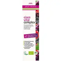GSE Vertrieb GmbH GSE Fytovitamines IJzer Vital Complex Oplossing, biologisch, 330 ml