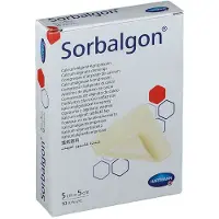 Hartmann Sorbalgon Classic 5 x 5cm 999598 10 St Compressen