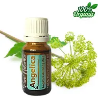 Pure Naturals Engelwortel etherische Olie 10 ml | Angelica Oil | 100% PUUR | Bio | Essentiële olie Aromatherapie | Olie diffuser | Geschikt voor inname |