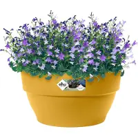 Elho Vibia Campana Schaal 27 - Bloempot voor Buiten - Ø 27.0 x H 14.0 cm - Honinggeel