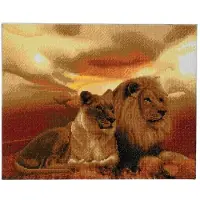 Craft Buddy Crystal Art Leeuwen 50x40 cm