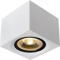 Lucide FEDLER - Plafondspot - LED Dim to warm - GU10 (ES111) - 1x12W 2200K/3000K - Wit