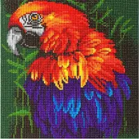 Crystal Art Kit "tropical Bird" 30 X 30 Cm Op Canvas Frame (full Painting)