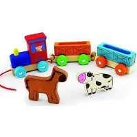 Pintoy Boerderijdierentrein -