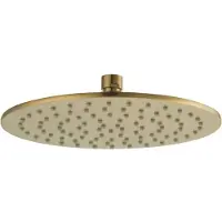Ben Round hoofddouche Ø25cm geborsteld messing