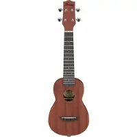 Ibanez Uks100-Opn Natural