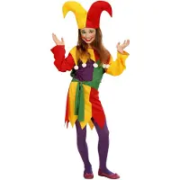 Widmann Carnavalskostuum schattige Narren kostuum voor kids
