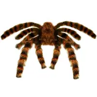 Finidi Spin harig voor Halloween 65 cm buigbaar