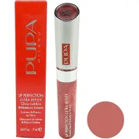 PUPA Milano Lip Perfection Ultra Reflex Lipgloss - 06 Raspberry