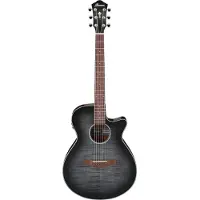 Ibanez Aeg70-Tch Transparent Charcoal Burst