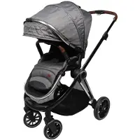 Ding Fenix Kinderwagen Grey/Silver unisex
