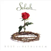 Coast2Coast Rose Of Bethlehem