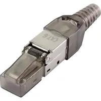 Renkforce CAT6 veldconnectoren, rechte stekker, zwart (transparant), RF-4538314, 1 stuk