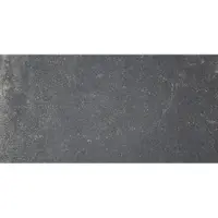 Sphinx Tegel 30 x 60 cm - Black - Keramiek - Rechthoekig - 6 stuks - 1,08 m2 - Natuursteenlook - Vloertegels - Wandtegels - Tegels - XK412016