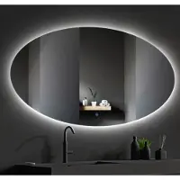 SaniGoods Roan ovale spiegel met LED-verlichting 160x100cm