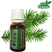 Pure Naturals Dennen etherische Olie 10 ml | Pine Oil | 100% PUUR | Bio | Essentiële olie Aromatherapie | Olie diffuser |