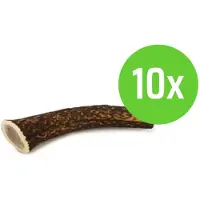 Beeztees Hertengewei - Hondensnack - M - ca 110 gram - hondensnack - 10 Stuks