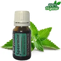 Pure Naturals Kruizemunt etherische Olie 10 ml | Spearmint Oil | 100% PUUR | Bio | Essentiële olie Aromatherapie | Olie diffuser | Geschikt voor inname |